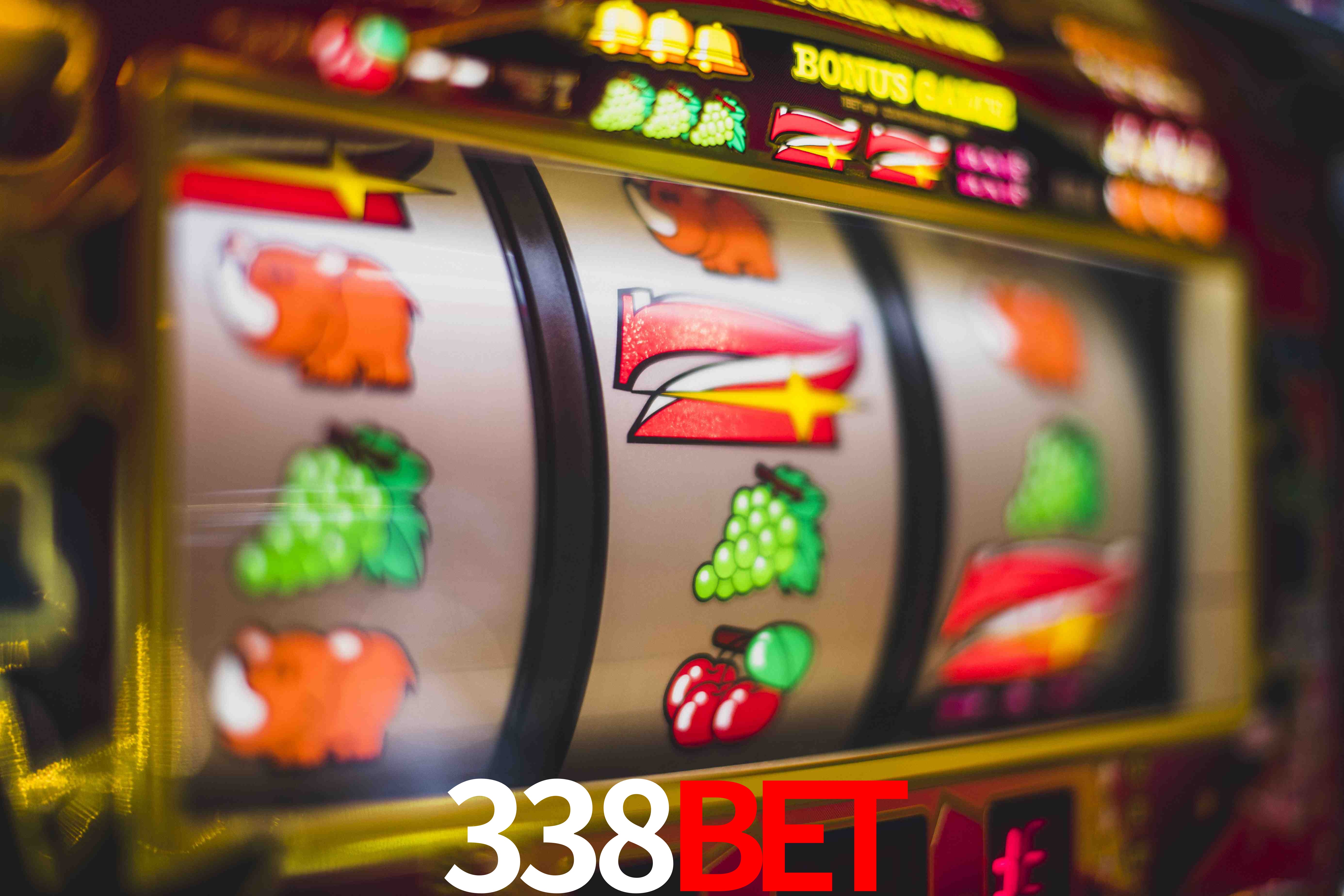 Sports Statistics 338BET